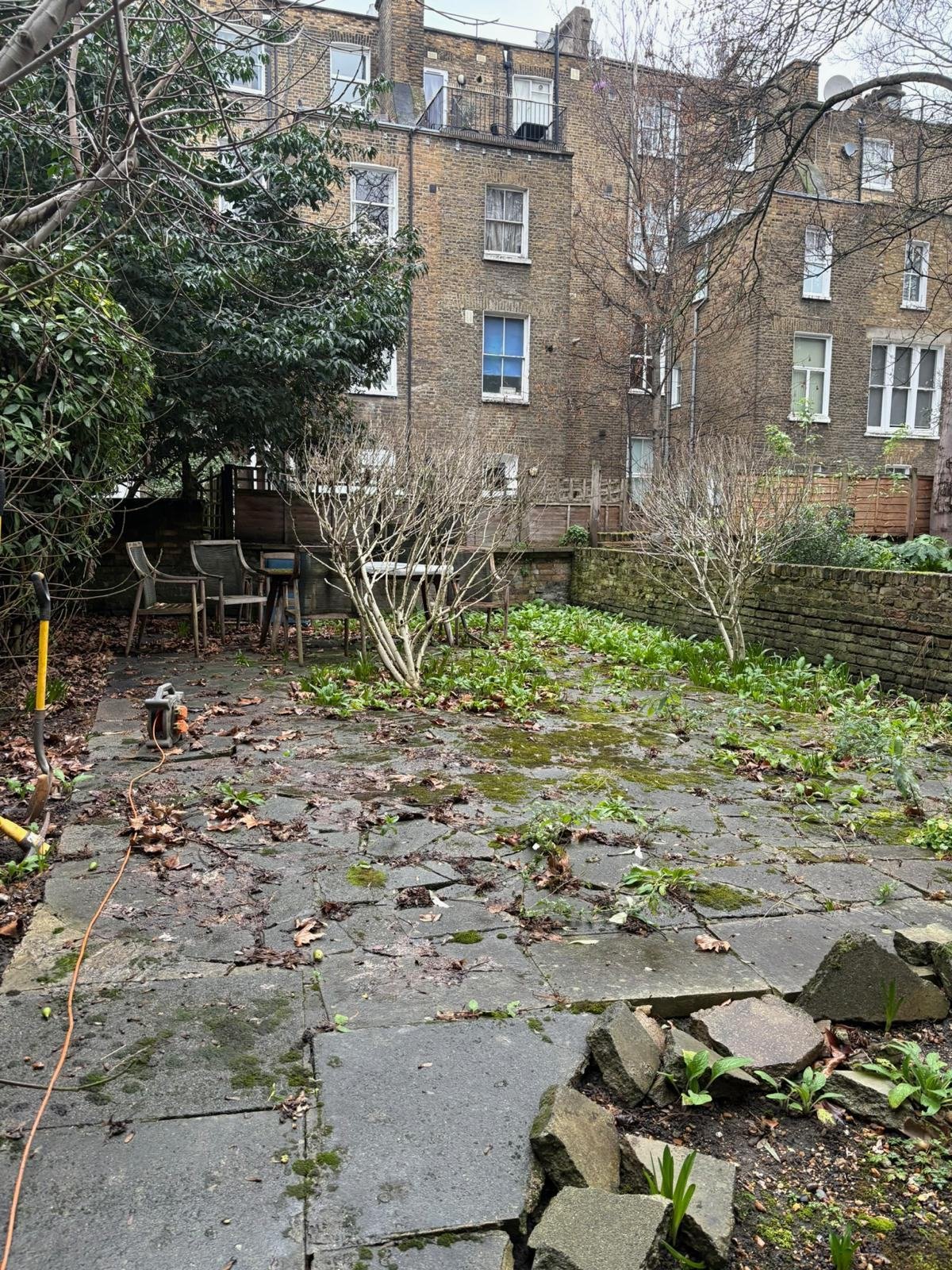 Garden before work, cracked and mossy paving slabs with weeds, block of flats behind